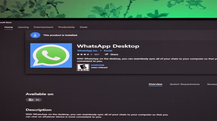 واتس‌آپ برنامه بتای عمومی برای اپلیکیشن دسکتاپی خود را منتشر کرد